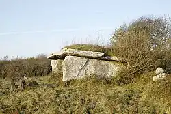 Wedge Tomb in Clooneen, County Clare