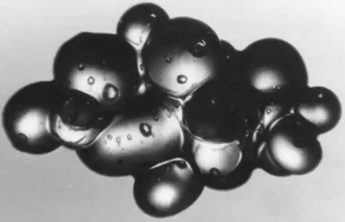 Anhäufung von Eiskörnern in nassem Schnee bei niedrigem Flüssigkeitsgehalt - Kornkristalle zwischen 0,5 und 1,0 mm.