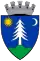 Coa Romania Town Gyergyószentmikló