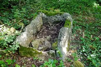 Steinkiste von Bellevue