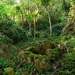 Steinkiste von Bellevue