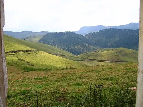 Die Hügel mit Überresten des Waldes im Tal, 2004