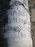 Antoninische Säule vom Decumanus maximus des Alten Forums AE 2003, 1524a