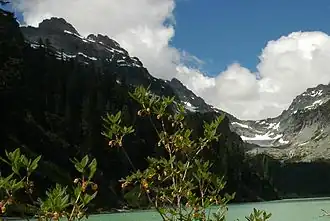 Der Columbia Peak (links) und der Columbia-Gletscher (rechts) mit dem Blanca Lake im Vordergrund, Blick nach Norden[1]
