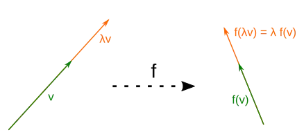 Visualisierung der Verträglichkeit mit der skalaren Multiplikation: Jede Skalierung '"`UNIQ--postMath-0000003A-QINU`"' bleibt durch eine lineare Abbildung erhalten und es gilt '"`UNIQ--postMath-0000003B-QINU`"'.