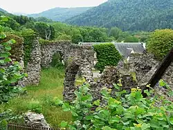 Ruine des Klosters Féniers