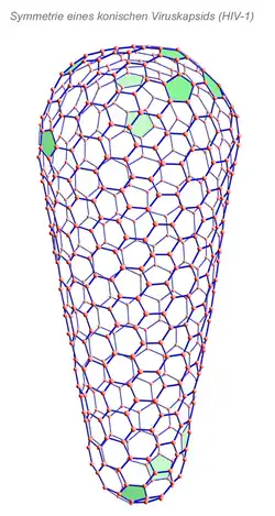 Symmetrie eines konischen Viruskapsids
