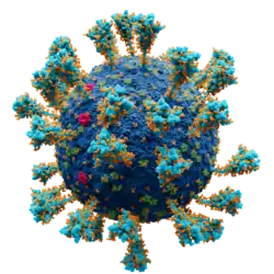 Atomgenaue 3D-Grafik des SARS-CoV-2-Virions