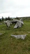 Wedge Tomb von Tullygobban Hill