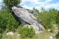 Dolmen de Viste