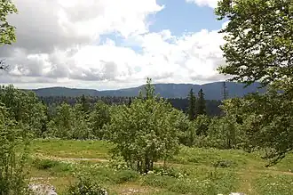 Blick vom Gipfel in Richtung Süden