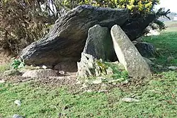 Caer-dyni Portal Tomb
