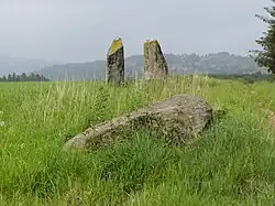 Steinreihe auf der East Cult Farm