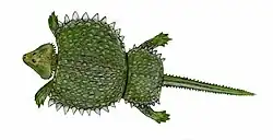 Lebendrekonstruktion