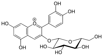 Cyanidin-3-O-glucosid (Chrysanthemin)
