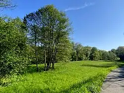 Dörpeaue zw. Sonnenschein und Dörpe