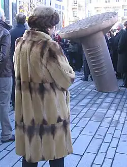 Mantel aus Samtiltis (2013)