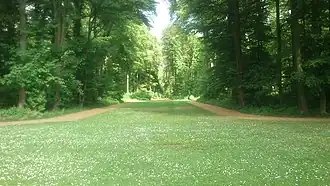 Blick vom Viereckweiher in die Champagnerallee