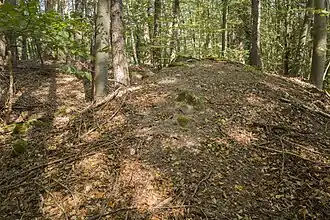 Blick auf den Gipfel des Traubergs