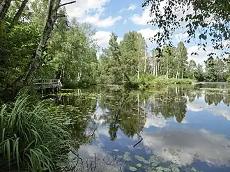 Weiher am Riedlehrpfad