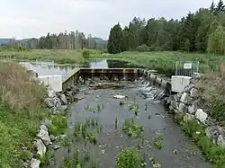 August 2015 Erste Pflanzen haben sich angesiedelt