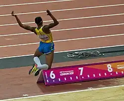 Michel Tornéus kam auf den achten&nbsp;Platz