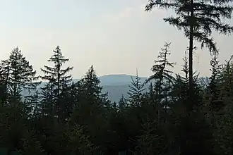 Blick vom Plattenweg im Kaufunger Wald bei Hann. Münden nach Nordwesten zum 9&nbsp;km entfernten Gahrenberg im Reinhardswald
