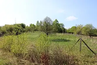 Blick vom Gehegeweg westlich des Wildgeheges Rinderstall südwestwärts zum Hühnerfeldberg; zwischen Zaun und rechtem Bildrand verläuft als kurzer Pfad der Aufstieg zur Kuppe