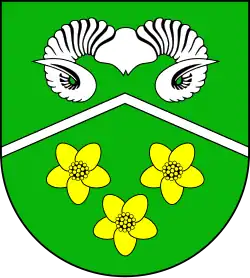 Gehörn des Widders (natürlich)