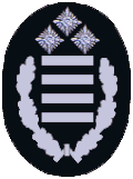 BrOAR (Brandoberamtsrat/-rätin mit Zulage)