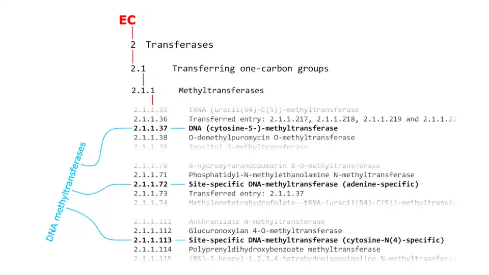 Bild nicht vorhanden!