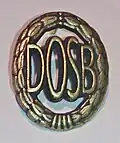 Deutsches Sportabzeichen als Anstecker in Bronze (seit 2007)