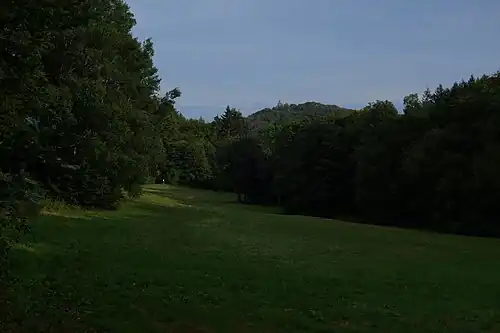 Blick über das Naturschutzgebiet Reichenbachtal; im Hintergrund die Burgruine Falkenstein