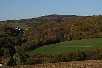 Blick auf Reichenbach am Fuße des Pfaffenkopfs; im Vordergrund rechts steigt der Berg Burg an, auf dem sich der Ringwall Waldems befindet.