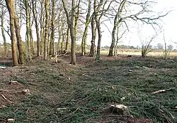 Zwei Wege laufen von Westen her vor dem Hohlweg zusammen; 2021 entdeckt.