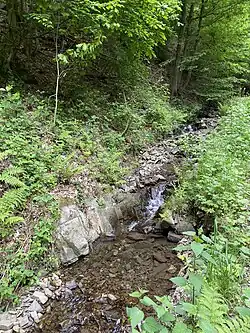 Daipenbecke mit felsigem Bachbett im Mittellauf