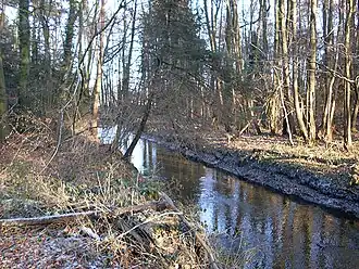 Dalke im Norden Verls