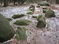 Großsteingrab am Stappenberg am Nordhang der Dammer Berge; direkt dahinter der Pickerweg