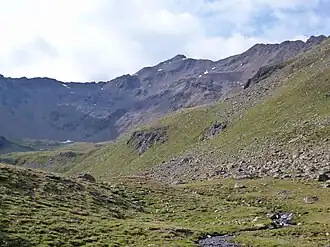 Danzebell von Norden, vom Martinsstock