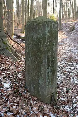 südlich des Meilensteins erkennt man eine langgezogene Senke, alte Straßenführung?