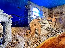 Korallen im Riffmuseum Gerstetten