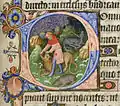 Davids Kampf mit dem Löwen, D-Initiale. London, British Library, Add. MS. 42131, fol. 95r