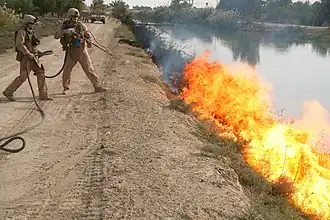 Mit einem Flammenwerfer werden potentielle Verstecke von IEDs abgebrannt