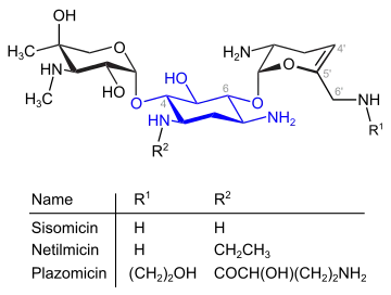 Dehydro-Analoga von Gentamicin (blau: Desoxystreptaminstruktur)