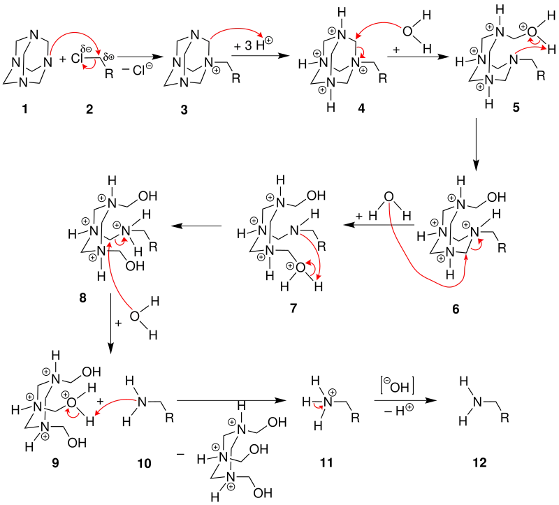 Mechanismus der Delépine -Reaktion