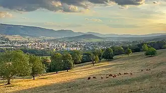 Delsberg im Delsberger Becken aus nordöstlicher Richtung aus gesehen