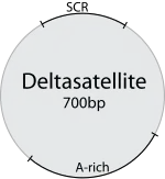 …und von Delta­satellite