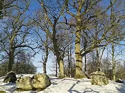 Der östliche Steinkreis