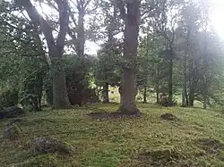 Der westliche Steinkreis