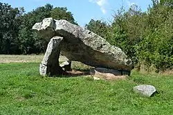 Pierre couverte de Chavais